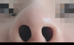 d080564c320371e2e65ed97add6ba3ee_1624599764_1445.png d080564c320371e2e65ed97add6ba3ee_1624599764_1445.png